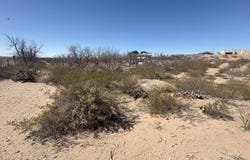 4131 Johnson Lane, Las Cruces, NM 88011