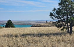 Shawmut, MT 59078