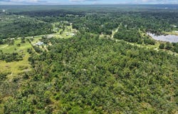 Spring Warrior Road, Keaton Beach, FL 32348