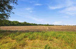 661 Fm 902, Sherman, TX 75090