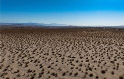 Alpine Avenue, 29 Palms, CA 92277