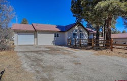 353 Snow Circle, Pagosa Springs, CO 81147