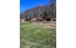 20 Acres Camp Creek Road, East Lynn, WV 25512