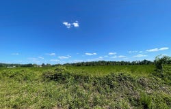 0 N Kings Highway, Sumter, SC 29154