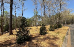 0 Yates Court, Clarkesville, GA 30523