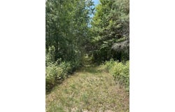 V/L Old Rugged Lane, Reed City, MI 49677