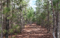 Lila Lane lot: 1, Pembroke, GA 31321