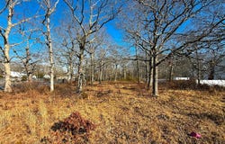 181 William Floyd Parkway, Shirley, NY 11967