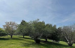114 BLUES ADDITION ROAD, SPRINGFIELD, WV 26763