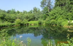 51 Switzer Spring Road, Prospect, ME 04981
