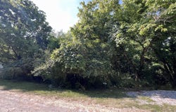 201a &202a Trailwood Lake, Shelbyville, KY 40003