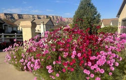 2102 Vivian Court, Grand Junction, CO 81507