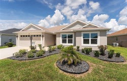 4416 HOMAN LOOP, THE VILLAGES, FL 32163