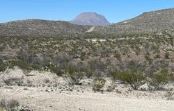 Terlingua, TX 79852