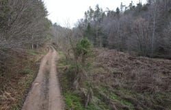 0 Rocky Creek Rd Road, Del Rio, TN 37727