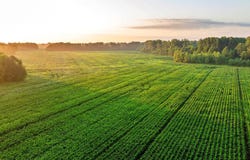 HWY Z, Pattonsburg, MO 64670