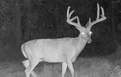 0 E 575 S, Markleville, IN 46056