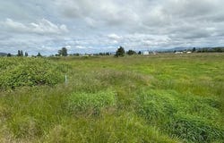 3 Springer ST, Cathlamet, WA 98612