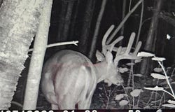Xxx Oak Point Road NW, Cass Lake, MN 56633