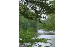 31667 W EDGE ROAD, MILLINGTON, MD 21651