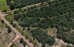 2250 Old Lockhart RD, Plum, TX 78952