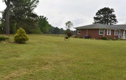 4316 S Glover Drive, Pine Bluff, AR 71601