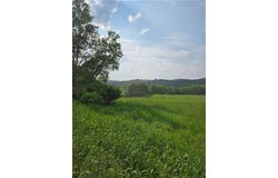 0 Backus Road, New Lisbon, NY 13810