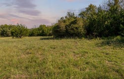 Tbd Fm 2200, Iredell, TX 76649