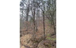 Cow Creek (Map 015-00-00-034), Salyersville, KY 41465
