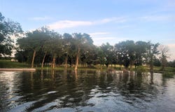 Tbd Lago Vista Drive, East Tawakoni, TX 75472