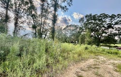 891 Ms-48, Tylertown, MS 39667