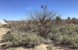 .34ac US HWY 191, Safford, AZ 85546