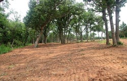 0003 Chako's Way, Guthrie, OK 73044