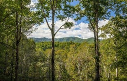 808 Mill Stone Mountain, Blue Ridge, GA 30513