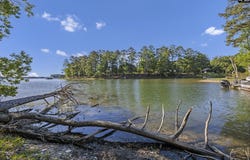 0 Lominack Road, Prosperity, SC 29127