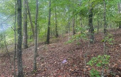 COUNTY ROAD 52, GOODWATER, AL 35072