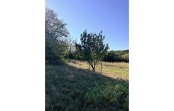 19046 Co Rd 71, Weaubleau, MO 65774
