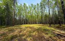 72xx E Central Lakes Rd Lot H, Eveleth, MN 55734
