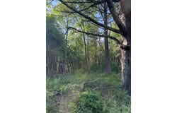 176 Thunderhill Rd, Fancy Gap, VA 24328