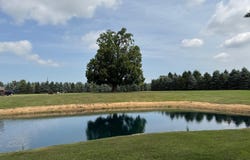 9933 N Douglas Road, Vestaburg, MI 48891
