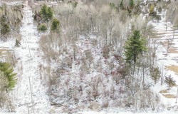 Simpson Road, Theresa, NY 13691