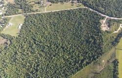 TBD NW Shuman Ferry Rd., Altha, FL 32421