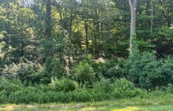 733 Grand View Drive, Howard, OH 43028