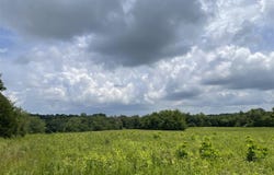 0 Roe Road, Sharon Grove, KY 42280