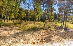 Lot 4 Significance Summit, Harrison, AR 72601