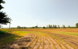 14839 Westfall Road LOT 20, Chillicothe, OH 45601