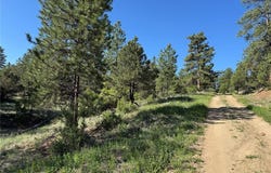 69 Coyote Run Road, Cotopaxi, CO 81223