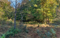 2315 Burem Road, Rogersville, TN 37857
