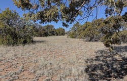 0 Clubhouse Lane Lot 1, Concho, AZ 85924