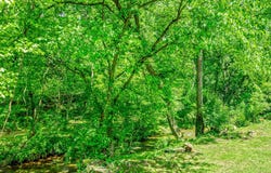 2636 Shields Ferry Road, Morristown, TN 37814